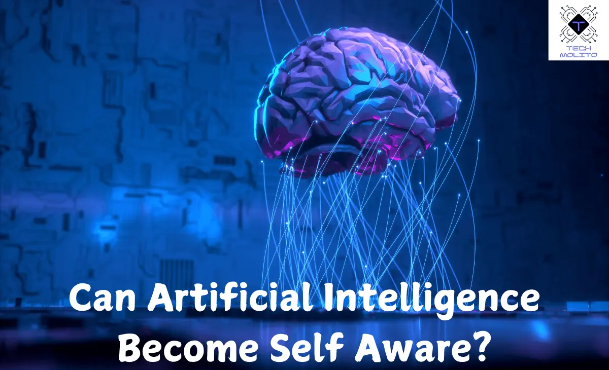 Can Artificial Intelligence Become Self Aware